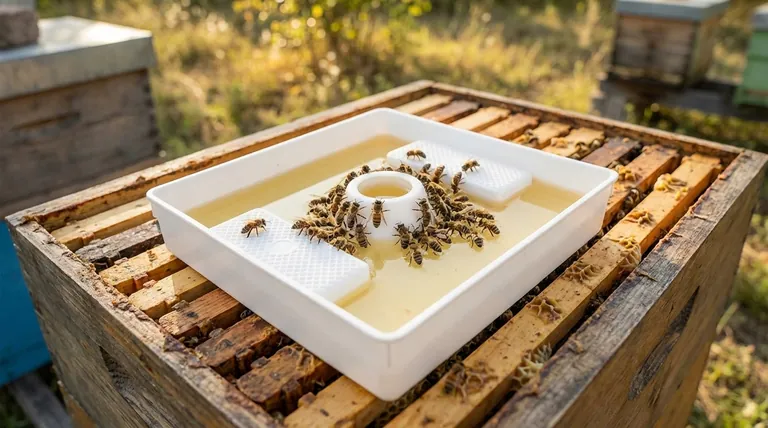 What is a honey bee feeder? A Critical Tool for Healthy Hives