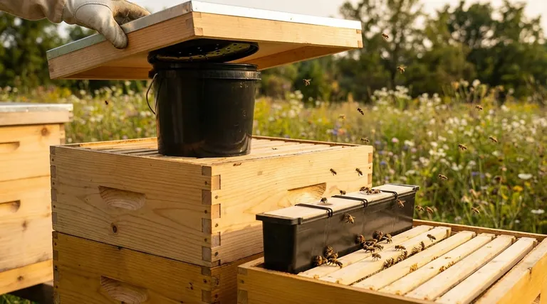 最も人気のあるミツバチのフィーダーの種類は何ですか?フレームフィーダーとバケットフィーダーのガイド