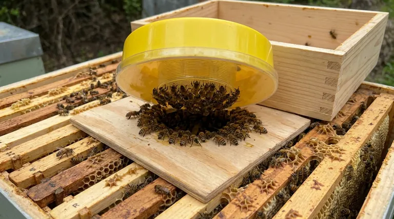 How does a pail feeder work? A Guide to Efficient, Safe Hive Feeding