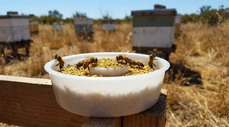 干花粉喂养如何帮助应对具有攻击性的采蜜蜂?通过重新引导蜜蜂的本能来安抚蜂群