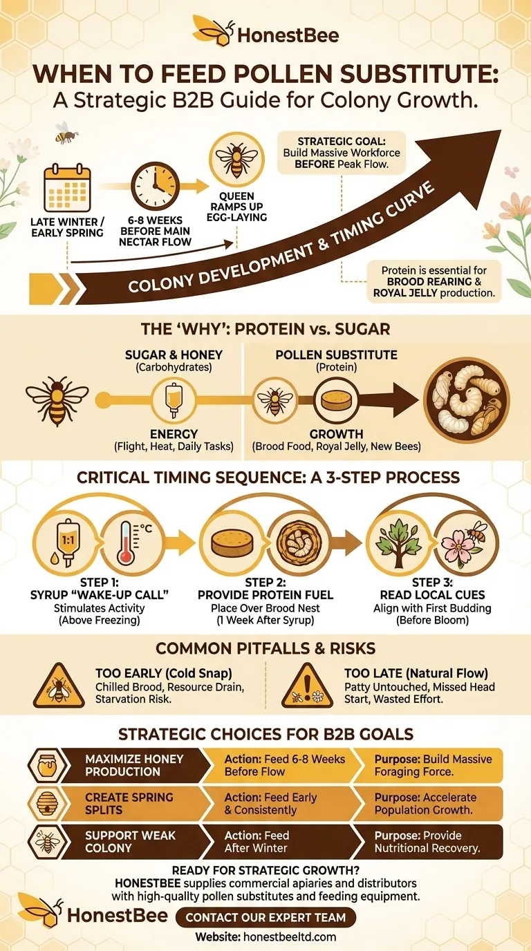 When is the best time to feed pollen substitute to honeybees? Boost Your Honey Harvest with Strategic Feeding Visual Guide