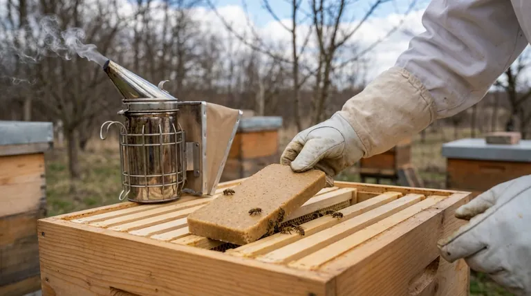 When is the best time to feed pollen substitute to honeybees? Boost Your Honey Harvest with Strategic Feeding