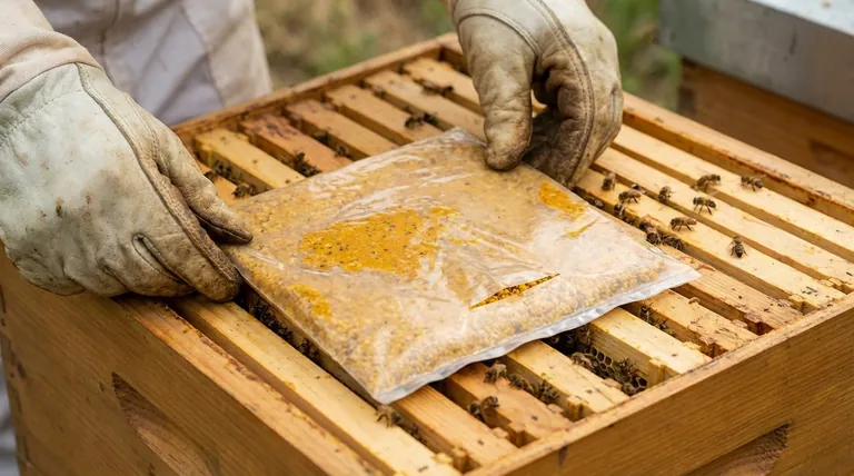 How is the pollen substitute mixture prepared for feeding at the apiary? Master the Proper Placement Technique