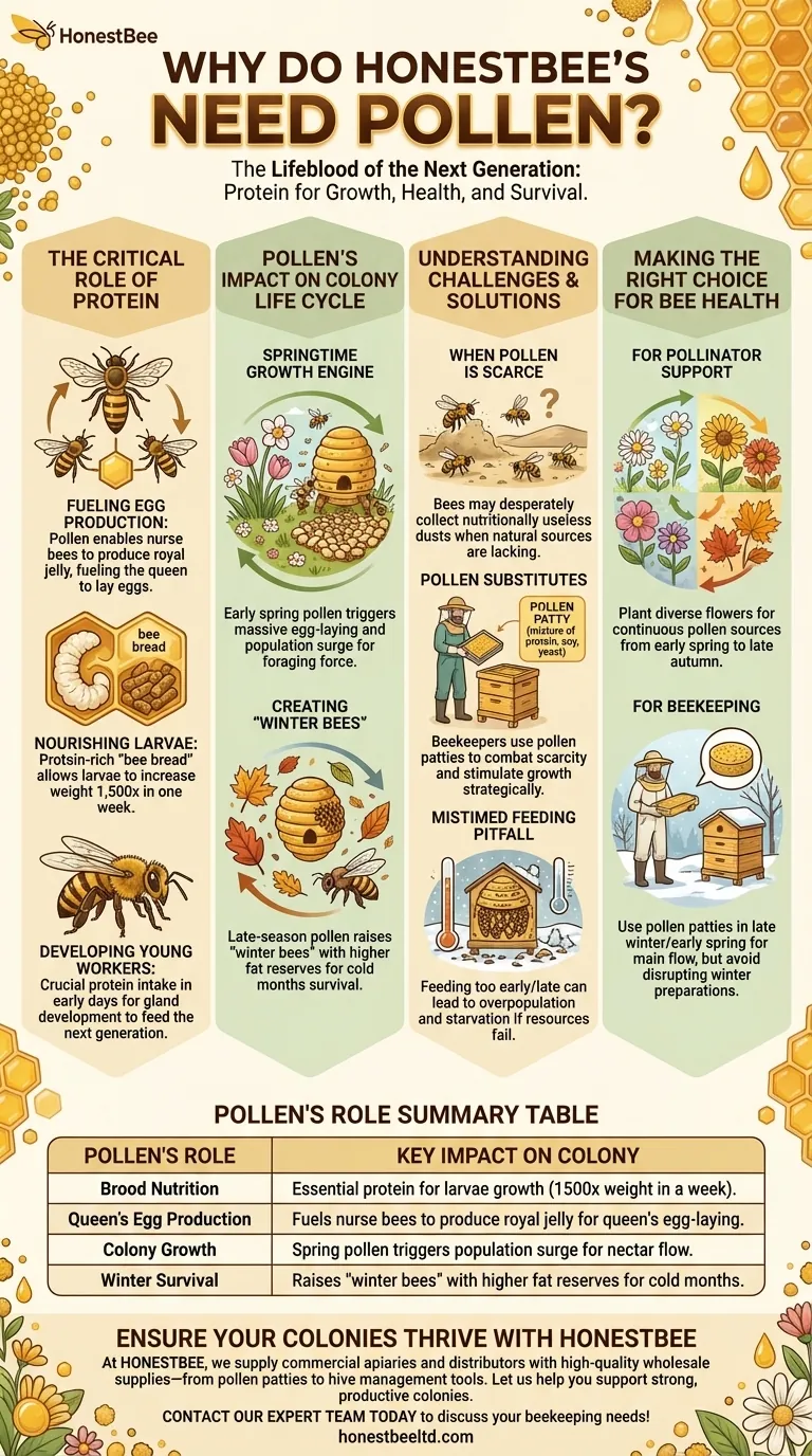 Why do honey bees need pollen? The Essential Protein for Colony Growth and Health Visual Guide