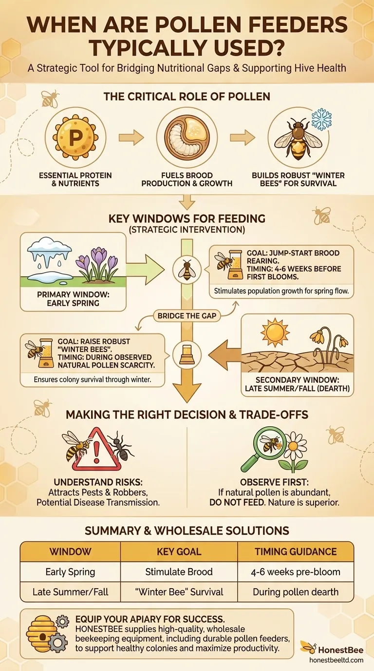 When are pollen feeders typically used? Timing Your Feeding for Stronger Hives Visual Guide