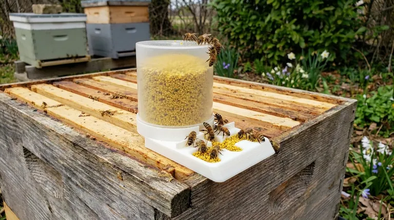 When are pollen feeders typically used? Timing Your Feeding for Stronger Hives