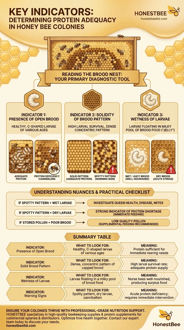 What are the key indicators to determine if colonies have adequate protein? A Guide to Brood Nest Diagnosis Visual Guide