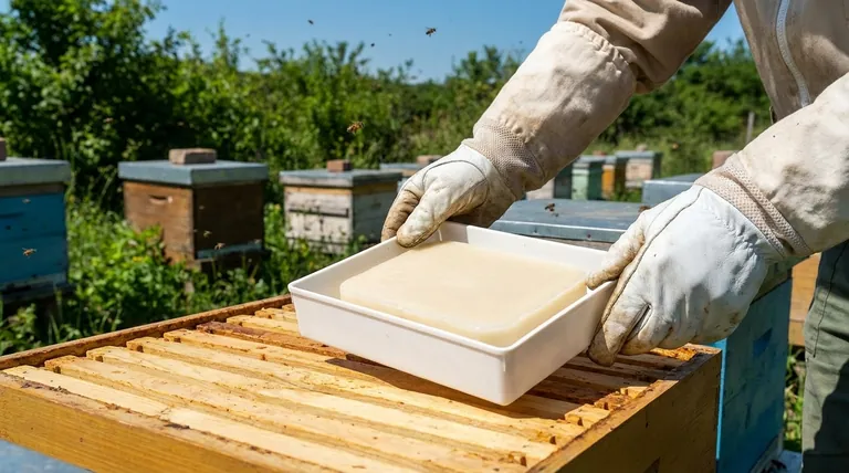 在试验期间,每个组别获得了多少糖?受控实验设计的关键
