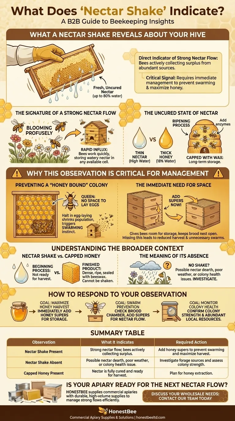 What does the term 'nectar shake' or 'shaking nectar' indicate? A Key Sign of a Strong Nectar Flow Visual Guide