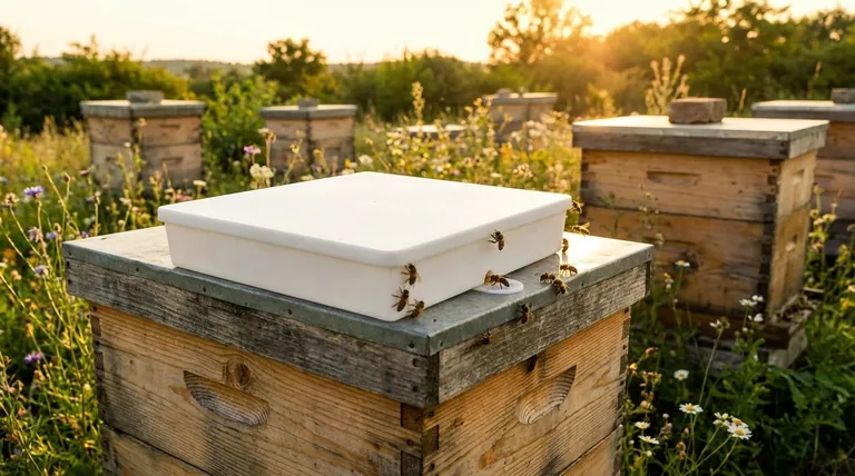 为什么防止蜂箱喂食器泄漏很重要?保护您的蜂巢免受溺水和盗蜜