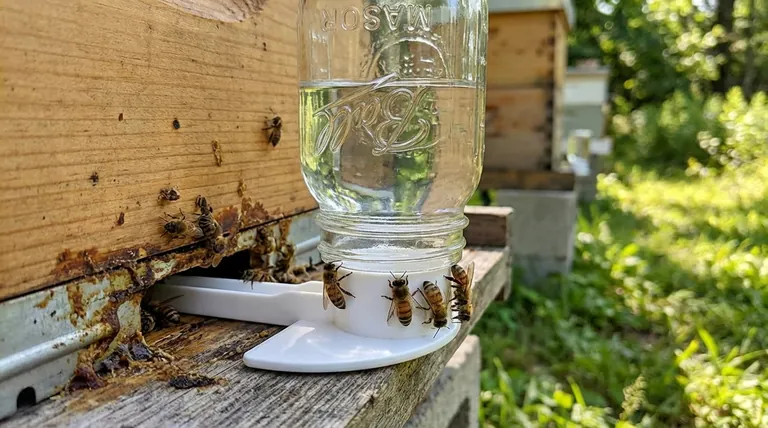 What is a better use for a front feeder instead of syrup? Transform It into a Safe Water Source