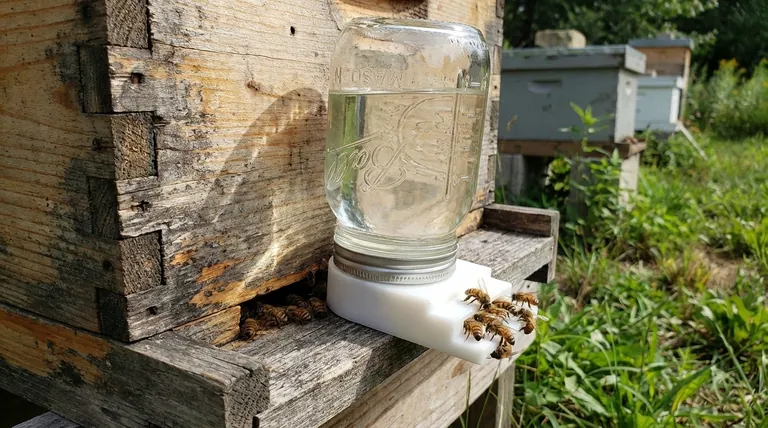 What is a Boardman Feeder, and how does it work? A Guide to the Controversial Entrance Feeder