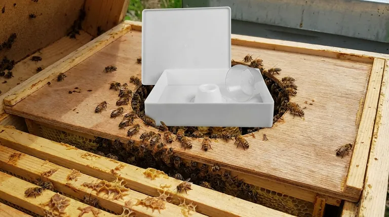 What are some common methods for using mason jar bee feeders inside the hive? Safely Feed Your Colony