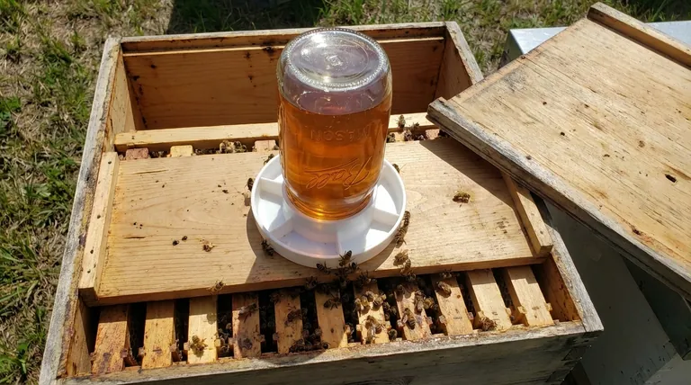 How does the Boardman feeder method work inside the hive? A Guide to Internal Feeding and Robbing Prevention