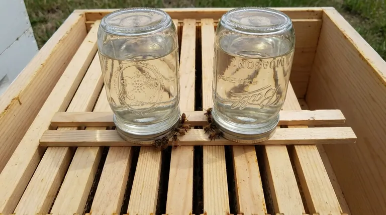 What is the 2-jar feeder or slats method? A Low-Stress, Efficient Way to Feed Your Bees