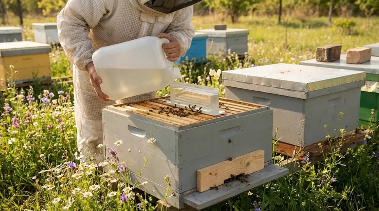 What is the recommended sugar syrup ratio for feeding weak bee colonies? Use 1:1 to Stimulate Growth