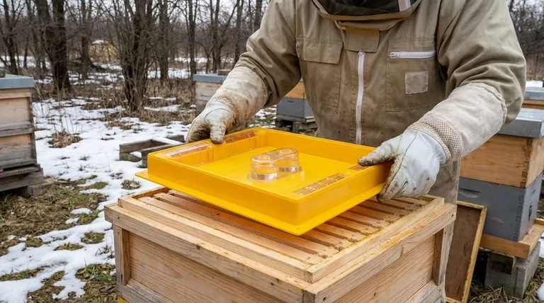 What are some situations where feeding bees might be necessary? Prevent Starvation & Boost Hive Health