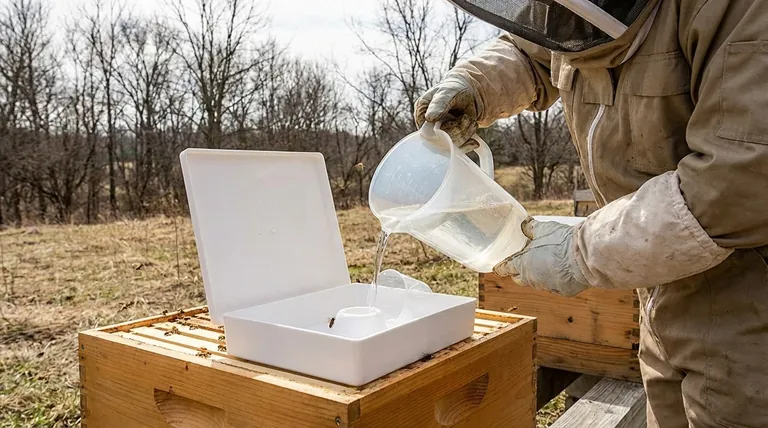 What type of feed is recommended for bees, and why? The Essential Guide to Healthy Bee Nutrition