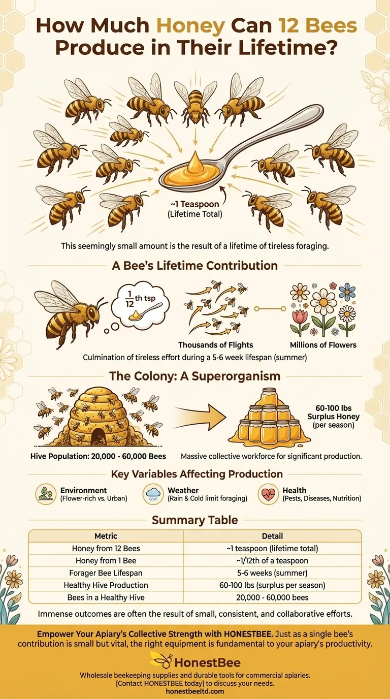 How much honey can twelve bees produce in their lifetime? Discover the Astonishing Team Effort Visual Guide