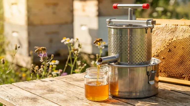 How much honey can twelve bees produce in their lifetime? Discover the Astonishing Team Effort