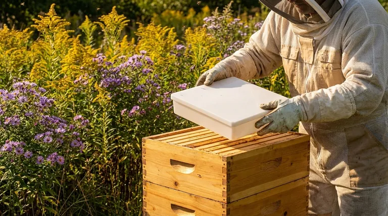 蜂农何时应避免喂食蜜蜂糖水?保护您的蜂蜜收成和蜂群健康