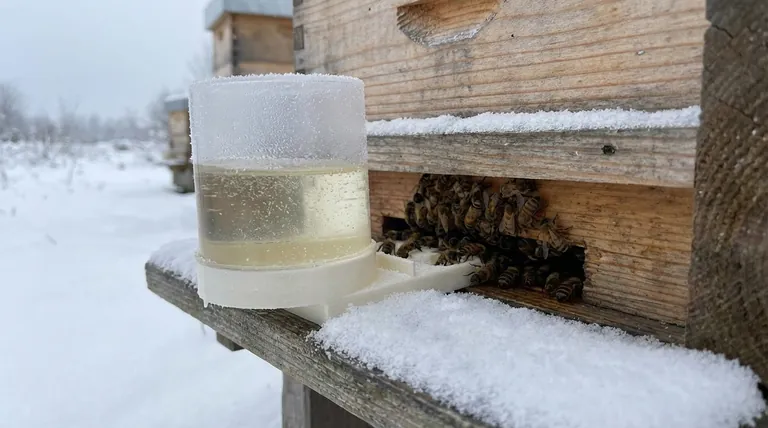 Why might bees consume less sugar from feeders in the winter? Understanding the Winter Cluster's Survival Strategy