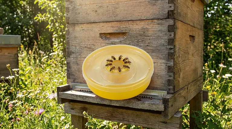 How does the inverted pale feeder system work? Master Safe, Efficient Hive Feeding