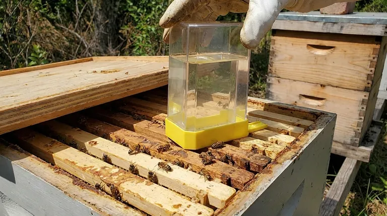 What precautions should be taken when using pail feeders? Safeguard Your Hive and Prevent Robbing