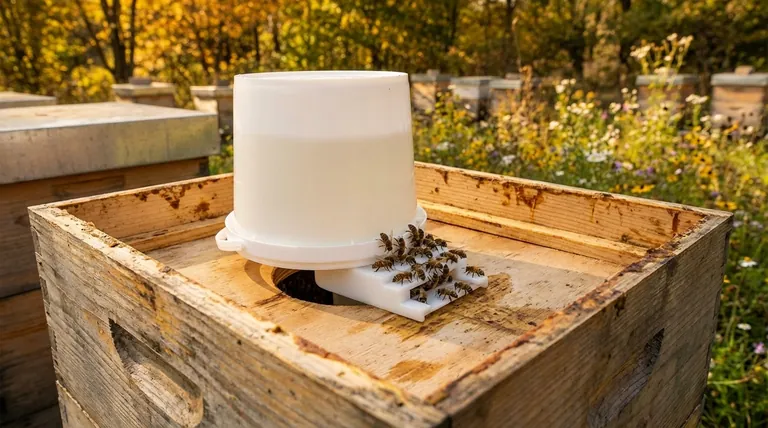 Quel est le positionnement et quels sont les avantages des nourrisseurs à seau ? Maîtriser l'alimentation à grand volume des ruches