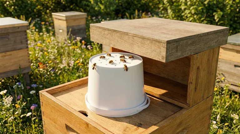 What is the best use of bucket feeders? Maximize Apiary Efficiency & Robbing Prevention