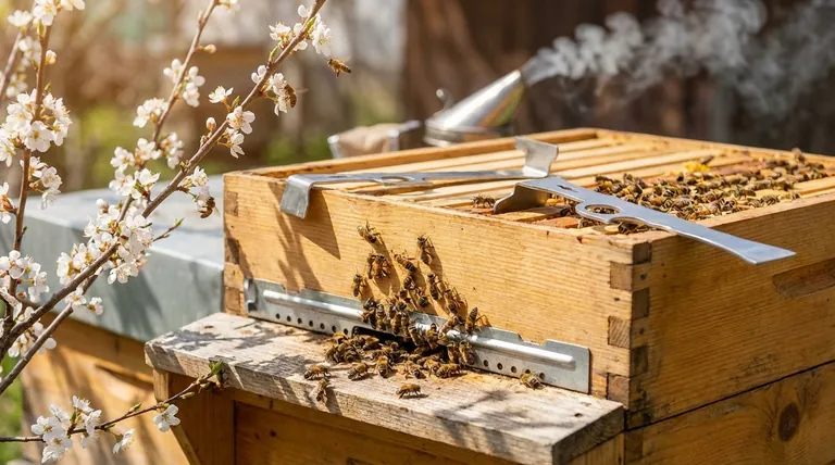 What are the benefits of maintaining a stable internal hive temperature? Boost Colony Health & Honey Production