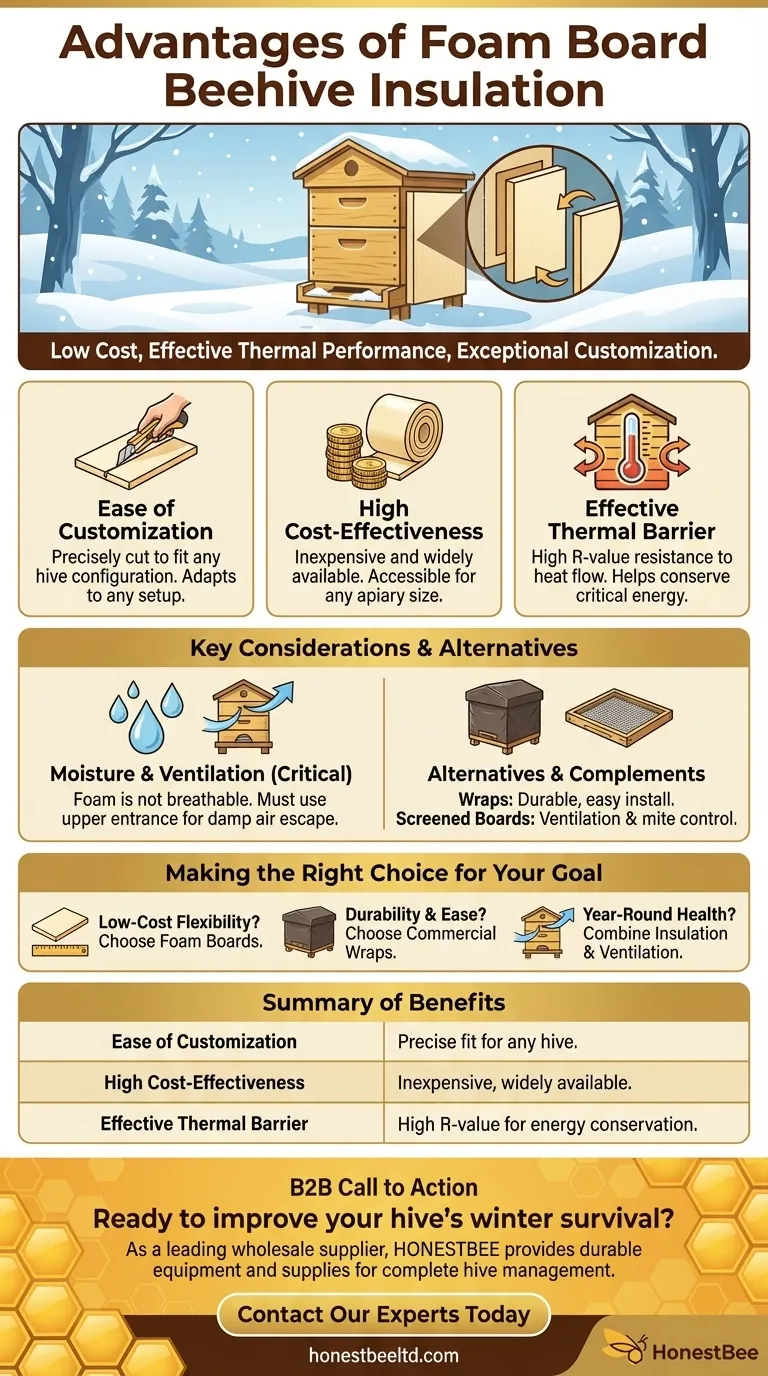 Quels sont les avantages d'utiliser des panneaux de mousse pour l'isolation des ruches ? Un guide économique Guide Visuel