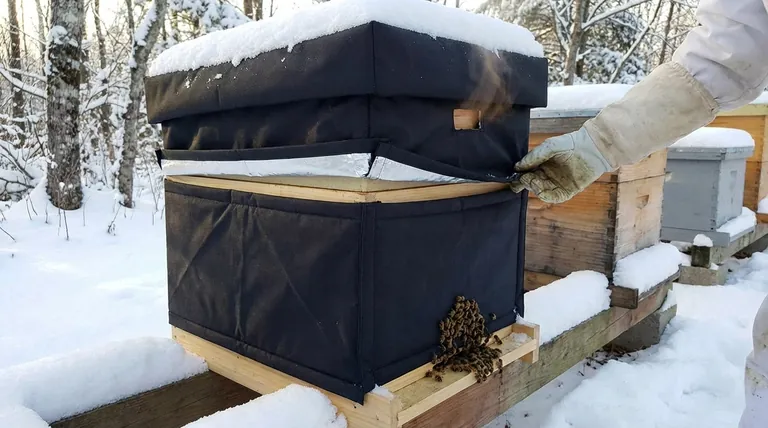 Как определить, правильно ли утеплен мой улей? Обеспечьте сухую, без сквозняков зиму для ваших пчел