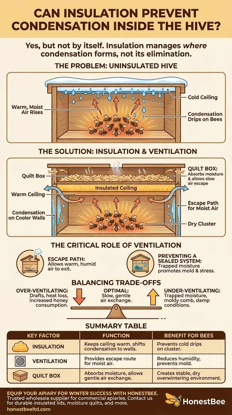 Can insulation prevent condensation inside the hive? A Guide to Managing Hive Moisture Visual Guide