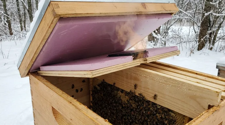 Can insulation prevent condensation inside the hive? A Guide to Managing Hive Moisture