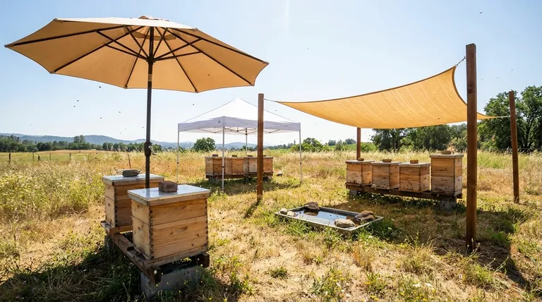 كيف يمكن لمربي النحل توفير الظل المؤقت لخلاياهم؟ حماية المستعمرات من الإجهاد الحراري