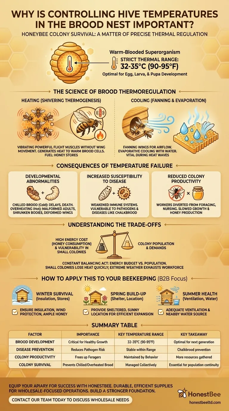 控制蜂巢育儿室温度为什么重要？确保蜂群健康与生产力 图解指南