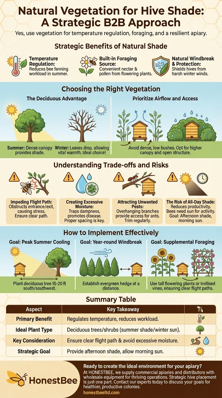 È possibile utilizzare la vegetazione naturale per fare ombra intorno all'arnia? Migliora la salute dell'arnia con piantagioni strategiche Guida Visiva