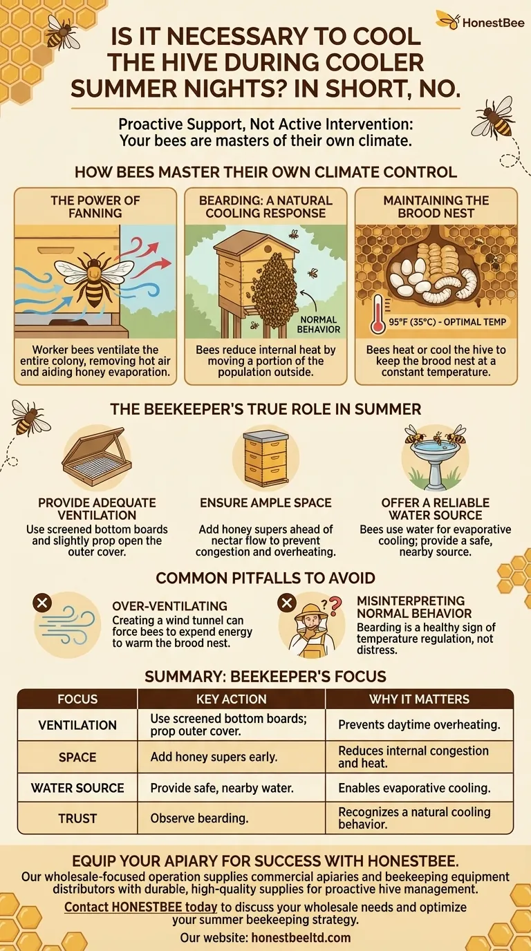 Is it necessary to cool the hive during cooler summer nights? Trust Your Bees' Natural Thermoregulation Visual Guide