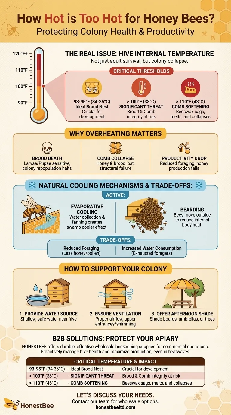 How hot is too hot for honey bees? Prevent Colony Collapse from Heat Stress Visual Guide