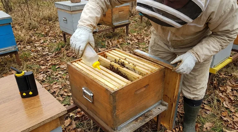 What is the primary use of oxalic acid in beekeeping? A Key Tool for Effective Varroa Mite Control