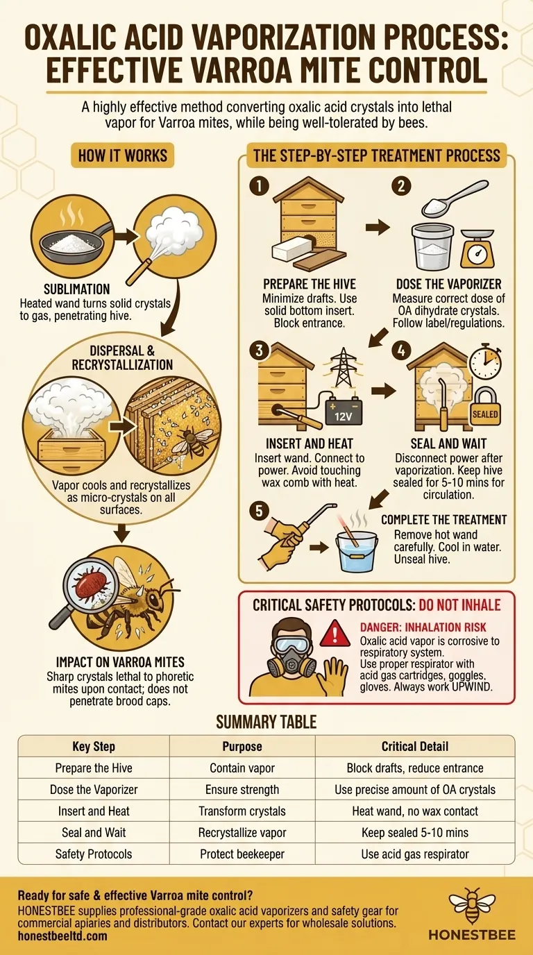 What is the process of using an oxalic acid vaporizer? A Step-by-Step Guide to Safe Varroa Control Visual Guide
