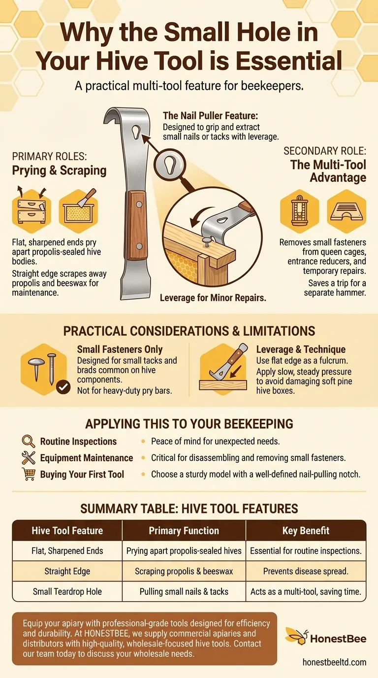 Каково назначение маленького отверстия в пчеловодном стамеске? Это встроенный гвоздодер Визуальное руководство