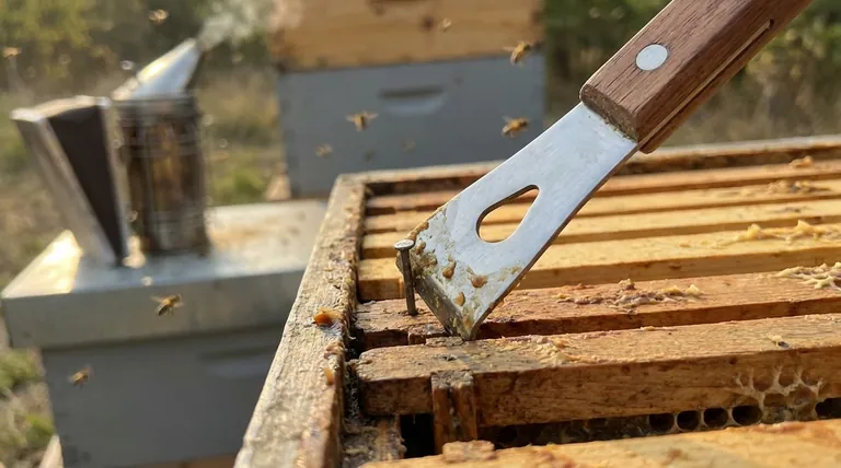 Каково назначение маленького отверстия в пчеловодном стамеске? Это встроенный гвоздодер