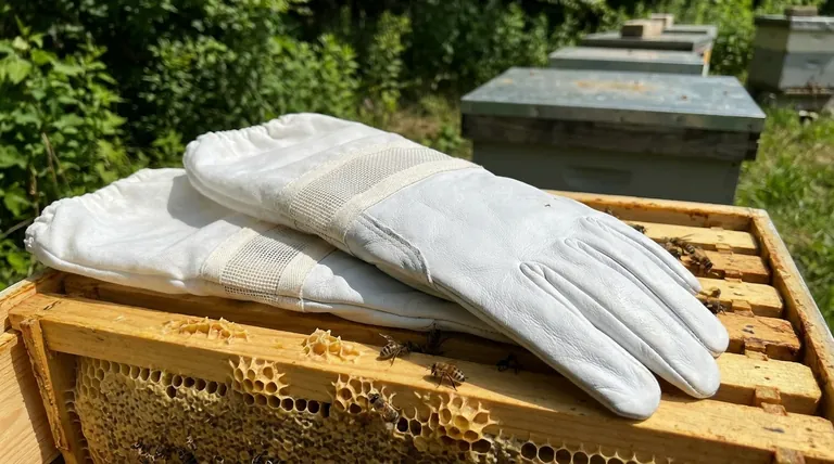 Was sind die Vor- und Nachteile von Stulpenhandschuhen für die Imkerei? Wählen Sie den richtigen Schutz für Ihren Bienenstand