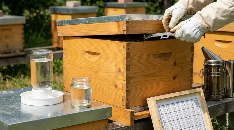 What equipment is needed for feeding and monitoring bees? Essential Tools for Healthy, Productive Hives