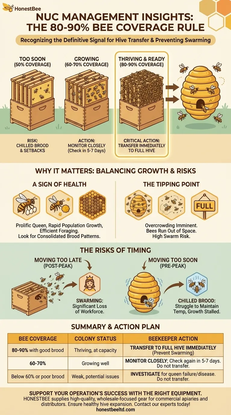 What does it mean if 80% to 90% of the frames in a nuc are covered with bees? The Key Sign for a Healthy Hive Transfer Visual Guide