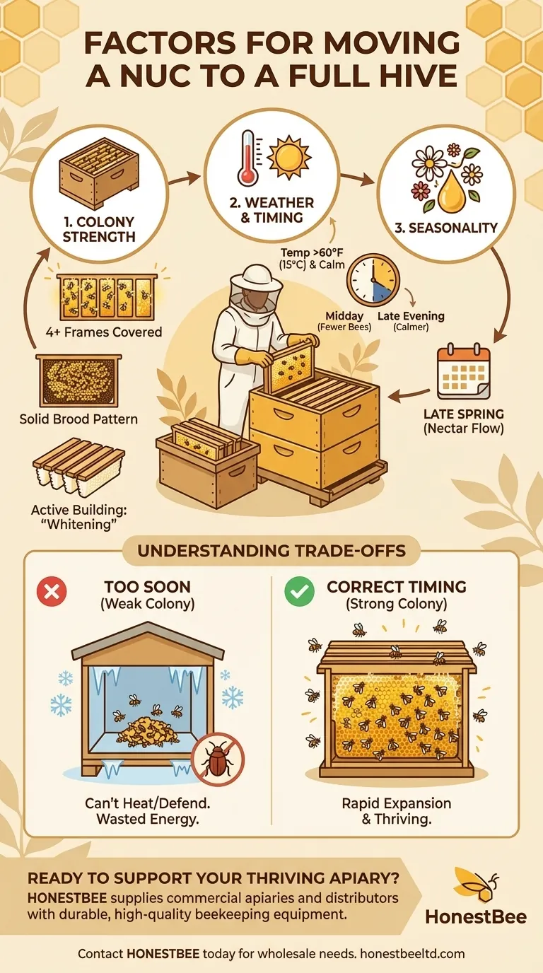 What factors should be considered before moving a nuc to a full hive? Ensure a Smooth & Successful Colony Transfer Visual Guide