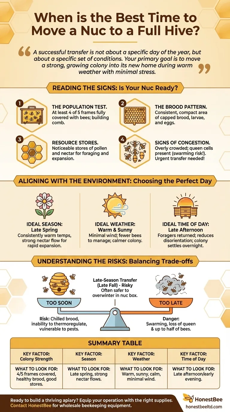 When is the best time to move a nuc to a full hive? A Guide to Perfect Timing for Colony Success Visual Guide