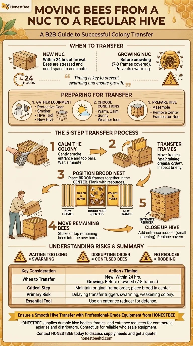 What is the process of moving bees from a nuc to a regular hive? A Step-by-Step Guide for a Successful Transfer Visual Guide